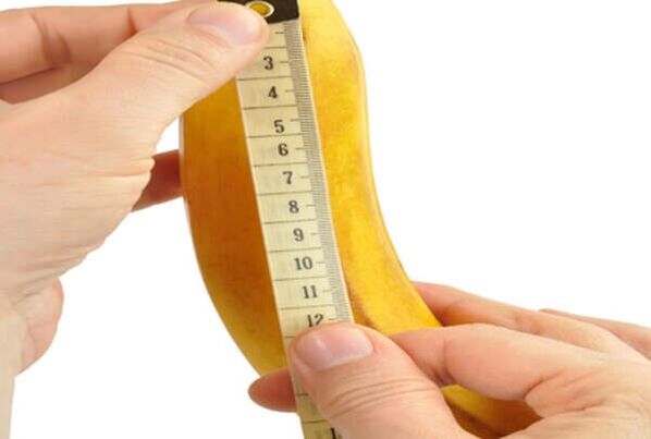 mengukur pisang menyerupai mengukur zakar yang membesar